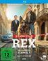 Text: "Maximilian Brückner, Ferdinand Seebacher, Kommissar Rex, Staffel 1, Alle 6 Spielfilme, 2026, FSK ab 12."

Beschreibung: Zwei Männer stehen auf einer Straße mit einem Schäferhund. Polizeiband und Auto im Hintergrund., 2 Blu-ray Discs