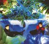 The Associates: Sulk, 2 CDs