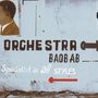 Orchestra Baobab: Specialist in All Styles (180g), 2 LPs