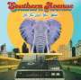 Southern Avenue: Be The Love You Want, LP