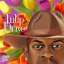 Jimmie Allen: Tulip Drive, CD, CD