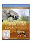 Jens Westphalen: Namibias Naturwunder / Kenia - Land der Kontraste (Blu-ray), BR