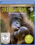 Orang-Utans - Die unbekannten Menschenaffen (Blu-ray), Blu-ray Disc