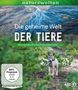 Axel Gebauer: Die geheime Welt der Tiere (Blu-ray), BR