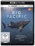 Big Pacific (Ultra HD Blu-ray & Blu-ray), 1 Ultra HD Blu-ray und 1 Blu-ray Disc