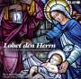: Lobet den Herrn: Die 20 schönsten religiösen Schlager- und Volksmusik-Hits, CD