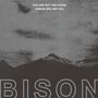 Bison: You Are Not The Ocean You Are The Patient, CD