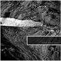 Peter Wolff (ex-Downfall Of Gaia): Repeat (180g), LP