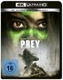Prey (2022) (Ultra HD Blu-ray & Blu-ray), 1 Ultra HD Blu-ray und 1 Blu-ray Disc