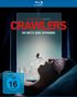 Text: "CRAWLERS - IM NETZ DER SPINNEN", "Vom Produzenten von John Wick", "Vorab-Cover", "FSK ab 16 freigegeben". Eine Spinne vor einem Fenster über einer liegenden Person mit Schlafmaske., Blu-ray Disc