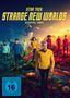 „Star Trek: Strange New Worlds, Staffel Drei“. Crew in gelben, roten und blauen Uniformen auf einem außerirdischen Planeten., 4 DVDs