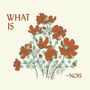Text: "WHAT IS ~NOIS". Illustration von orangen Blumen mit grünen Akzenten auf einem hellen Hintergrund., CD