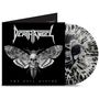 "Death Angel" und "The Evil Divide" in weiß auf schwarz. Eine Motte mit Totenkopf als Detail. Vinyl-Scheibe im Hintergrund.