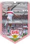 Text oben: "FANKALENDER 2026". Text in der Mitte: "Vorjahresabbildung". Unten ein Fußballspieler in Jubelpose. Logo des VfB.