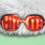 Auf einer roten Brille steht "HI!" in einer flauschigen, weißen Umgebung mit einem grünen Hintergrund., CD