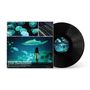 Eine Schallplattenhülle zeigt „BRING ME THE HORIZON COUNT YOUR BLESSINGS“. Ein Kind steht vor einem Aquarium mit Haien., LP