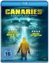 Canaries (Blu-ray), Blu-ray Disc