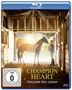 David de Vos: A Champion Heart - Freunde fürs Leben (Blu-ray), BR