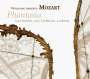 Wolfgang Amadeus Mozart: Grande Sonate für Bassettklarinette & Hammerklavier KV 581, CD