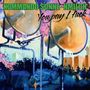 Kommando Sonne-Nmilch: You Pay I Fuck, LP, LP