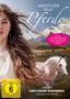Ginger Kathrens: Abenteuer Wild-Pferde, DVD