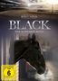 George Bloomfield: Black, der schwarze Blitz Box 1, DVD,DVD,DVD,DVD
