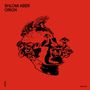 Shlomi Aber: Orion, MAX