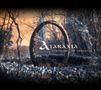 Ataraxia: Synchronicity Embraced, CD, CD