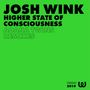Josh Wink: Higher State Of Consciousness (Adana Twins Rmxs), Single 12"