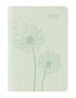 : Ladytimer Mini Deluxe Pastel Mint 2021 - Taschenplaner - Taschenkalender, Div.