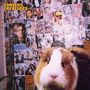 Oben links steht "CONTENT CREATURES". Ein Meerschweinchen vor einer Wand voller Poster und Fotos von Prominenten., LP