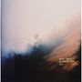 Heated Land: Forest Tapes, LP, LP