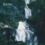 Dead Wolf: Evil Spirit, LP, LP