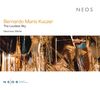"Bernardo Mario Kuczer: The Loudest Sky - Electronic Works. Oben rechts 'NEOS'. Unten abstrakte, goldene Illustration.", CD