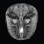 Irmler / Oesterhelt: Die Gesänge des Maldoror, LP, LP