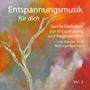 "Entspannungsmusik für dich. Sanfte Melodien zur Entspannung und Regeneration - mit Klavier und Naturgeräuschen. Vol. 3."  
Heller Baumast vor einem bunten, verschwommenen Hintergrund in Orange- und Grautönen., CD