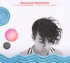 Drejholt Orchestra: Do You Remember? - A Tribute To Nick Drake, CD, CD