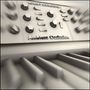 Robert Schroeder: Ambient Occlusion, CD, CD