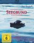 Rainer Kaufmann: Seegrund - Ein Klutingerkrimi (Blu-ray), BR