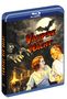 "VAMPIRE DER NACHT" in roter Schrift. Illustration: Gruselige Szene mit einer Fledermaus, Vollmond und drei Figuren., 2 Blu-ray Discs