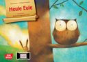 Paul Friester: Heule Eule. Kamsihibai Bildkartenset., Diverse