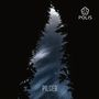 Text: "PILGER", "POLIS". Logo oben rechts. Sternenhimmel zwischen silhouettenartigen Bäumen., LP
