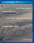 : Lucerne Festival Orchestra - Memorial Concert for Claudio Abbado, BR