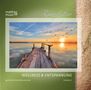 Ronny Matthes: Wellness & Entspannung Vol. 1 - Gemafreie Meditationsmusik & Christliche Entspannungsmusik, CD