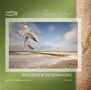 Ronny Matthes: Wellness & Entspannung (Vol. 3) Gemafreie Meditationsmusik (inkl. Tiefenentspannung), CD