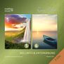 Ronny Matthes: Wellness & Entspannung 5 & 6 (Gemafreie Musik), 2 CDs