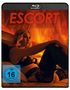 Texte: "ESCORT NACH DER BEGIERDE", "FSK ab 16 freigegeben", "WENDECOVER".  
Eine Frau in Dessous liegt auf einem Bett.
