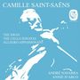 "Camille Saint-Saëns" und "The Swan" stehen oben auf blauem Hintergrund. Silhouette eines Musikers mit Cello., CD