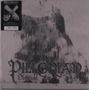 Pillorian: Obsidian Arc (180g), LP, LP