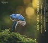 Mime Yamahiro Brinkmann & Mariangiola Martello - Boccherini's Dream, CD